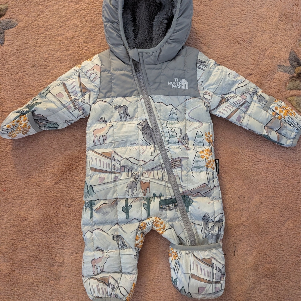 NWOT The North Face Snowsuit Baby 0-3 Months